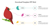 Illustration of a red bird on a branch, connected to three pie charts with captions showing percentages.