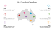 Stunning Bird PowerPoint Templates For Presentation