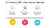 704071-30-60-90-day-plan-sales-director-examples-02