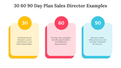 704071-30-60-90-day-plan-sales-director-examples-03