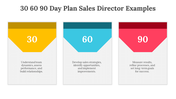 704071-30-60-90-day-plan-sales-director-examples-04