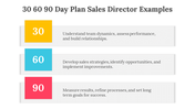 704071-30-60-90-day-plan-sales-director-examples-05