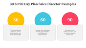 704071-30-60-90-day-plan-sales-director-examples-06