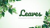 704115-leaves-powerpoint-background-02