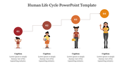 Human life cycle slide with four figures from childhood to adulthood, connected by a step line and numbered circles.