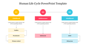 Life cycle template illustrating three main phases from childhood, adolescence, to adulthood, each with caption areas.