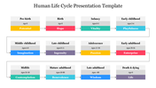 A flowchart showing stages of human life with labeled stages in colored boxes, connected by arrows across three rows.