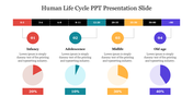 Human life cycle slide shows four stages with age ranges and pie chart percentages with placeholder text.