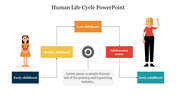 Illustration of the human life cycle showing stages from early childhood to early adulthood with connected arrows.