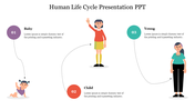 Life cycle slide with illustrations of a baby, child, and adult, each stage connected by dotted lines with captions.