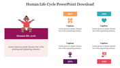 Human life cycle PowerPoint slide with a baby illustration and percentage captions representing different stages with icons.