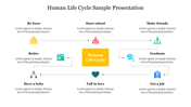 Creative Human Life Cycle Sample Presentation