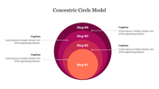 Colorful concentric circle diagram slide with four steps connected with captions.