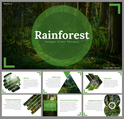 A slide deck with a green circle over a rainforest background, showcasing sections on climate, biodiversity, and vegetation.