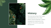 704614-international-day-of-the-tropics-presentation-template-03