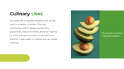 704641-avocado-powerpoint-template-free-05