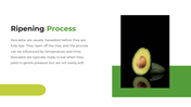 704641-avocado-powerpoint-template-free-07