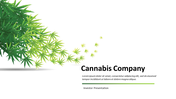 704705-cannabis-company-investor-pitch-deck-01