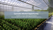 704705-cannabis-company-investor-pitch-deck-07