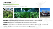 704705-cannabis-company-investor-pitch-deck-11