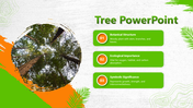 Innovative Tree PowerPoint And Google Slides Template