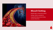 71882-blood-powerpoint-template-07