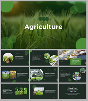 Agriculture slide cover with a close-up of wheat, surrounded by green bubbles, followed by slides on modern farming methods.