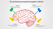 Slide featuring a red outline of a brain with four colored arrows pointing to different regions, each connected to captions.