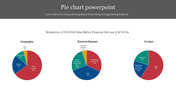 Pie chart slide showing three charts for geographic, business segment, and product with a text area.