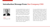 74017-company-annual-report-powerpoint-presentation-04