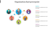 Magnificent Organization Chart PowerPoint Presentation