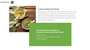 76283-herbal-medicine-powerpoint-templates-free-03