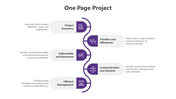 Project plan slide highlighting five key areas with purple icons and text descriptions.