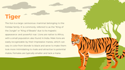 78127-animals-ppt-free-download-03