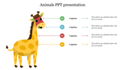 Creative Animals PPT Presentation Template For Presentation