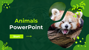 78131-animals-powerpoint-presentation-free-download-01