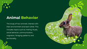 78131-animals-powerpoint-presentation-free-download-03