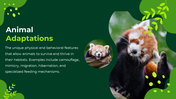 78131-animals-powerpoint-presentation-free-download-05