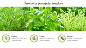 Slide featuring images of fresh green herbs with icons and text captions with icons.