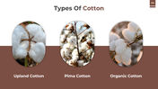 78894-cotton-powerpoint-presentation-04