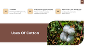 78894-cotton-powerpoint-presentation-06