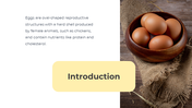 78929-egg-ppt-template-03