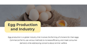 78929-egg-ppt-template-14