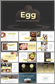 A pack of egg slides featuring various topics and images with text descriptions.