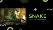 79442-snake-powerpoint-template-01