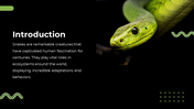 79442-snake-powerpoint-template-02