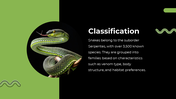 79442-snake-powerpoint-template-03