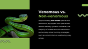 79442-snake-powerpoint-template-05