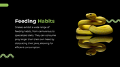 79442-snake-powerpoint-template-06