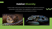 79442-snake-powerpoint-template-09